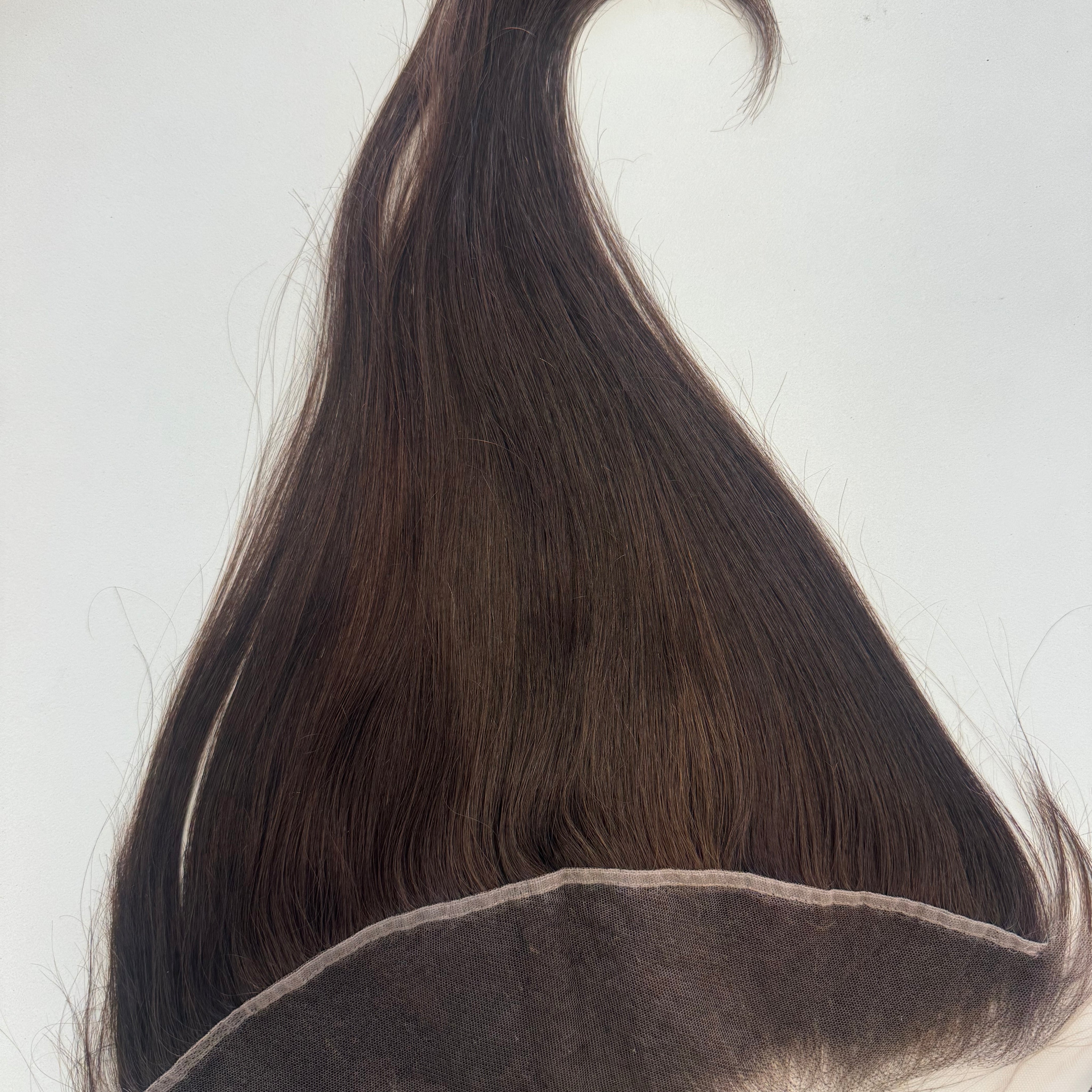 T44B.jpg