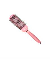 Fohnborstel Ind'O Brasil roos